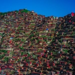 电商节日有哪些