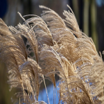 Facebook中国开户