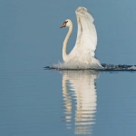 facebook中国区代理商哪个产品好