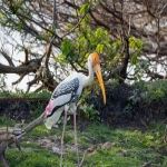 亚马逊VAT究竟有何含义？