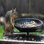 亚马逊agl物流的优缺点？