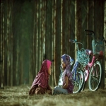 Tiktok开户越南靠谱代理