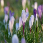 推特账号冻结后如何解锁？