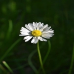 海外仓的三个环节