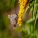 国外独立站平台有哪些