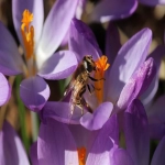 飞书互动是facebook代理商吗