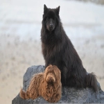 亚马逊成本利润如何计算-