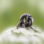 亚马逊优惠券怎么设置