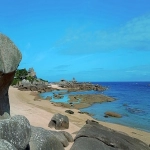 9810报关方式有哪些？