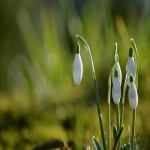 敦煌网开店流程及费用
