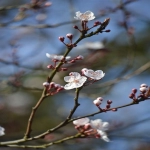 亚马逊主图尺寸解密！提升点击率的关键步骤揭秘！