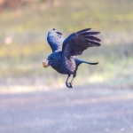 广交会一期展哪些东西