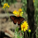 备受青少年青睐的服装品牌有哪些