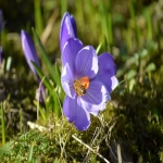 河南tiktok广告开户