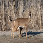 Vkontakte代理商哪家服务好