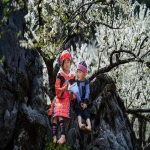 越南必应bing广告投放技巧