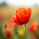 关键词挖掘工具有哪些?