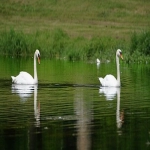 亚马逊侵权申诉流程是什么？