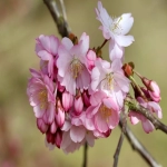 如何进行广州谷歌推广开户