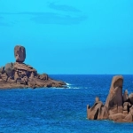 RCEP成员国有几个?