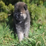 listing亚马逊什么意思