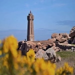 b2b2c模式是什么意思