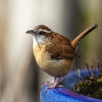 怎么注册谷歌账户