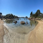 WordPress建站教程:打造个性化网站的步骤指南