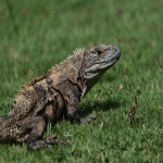 出口退税怎么计算出来的