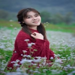 女儿节是什么时候-它的由来、节日习俗活动大揭秘