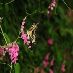 口碑好的跨境物流公司