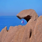 如何在TikTok上开设电商店铺?