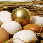 俄罗斯跨境电商有哪些