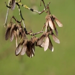 收汇和结汇的区别