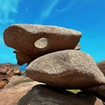 亚马逊政策变革:要求测评者原价真实购买以维护市场真实性