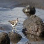 速卖通怎么使用？