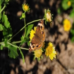 微软bing广告组加班