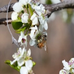 西联收款方式有哪些-