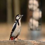 企业海外仓库存控制的办法