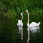 虾皮卖家中心怎么登录？