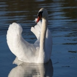 Vkontakte广告账户开户哪家公司好？