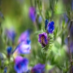 什么是Lightning Deal-创建要注意哪些问题-