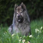 亚马逊法国站点怎么样