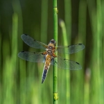 墨西哥关税起征点是多少？