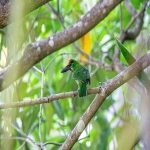 跨境电商营销推广的方法有哪些?