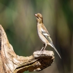 阿里巴巴推广有哪些方法