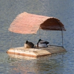 国内电商平台排行榜前十名