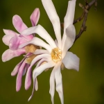 速卖通开店流程及费用