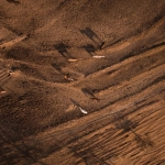 版权和商标的区别在哪里-