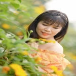 小柜集装箱多少立方？